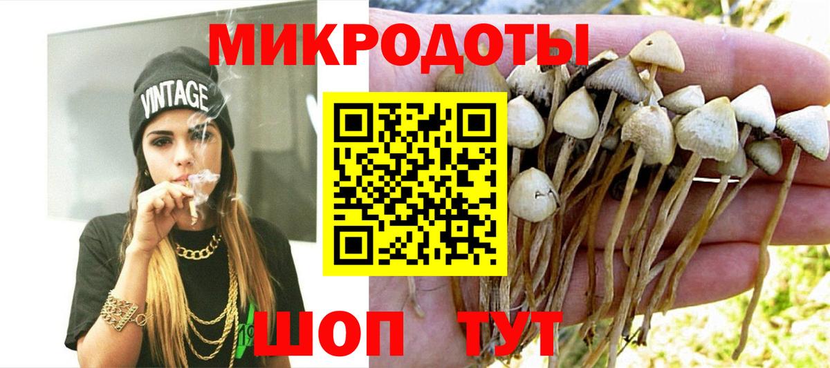 Псилоцибиновые грибы мицелий  Вход с VPN  Карталы  Псилоцибиновые грибы прущие грибы 